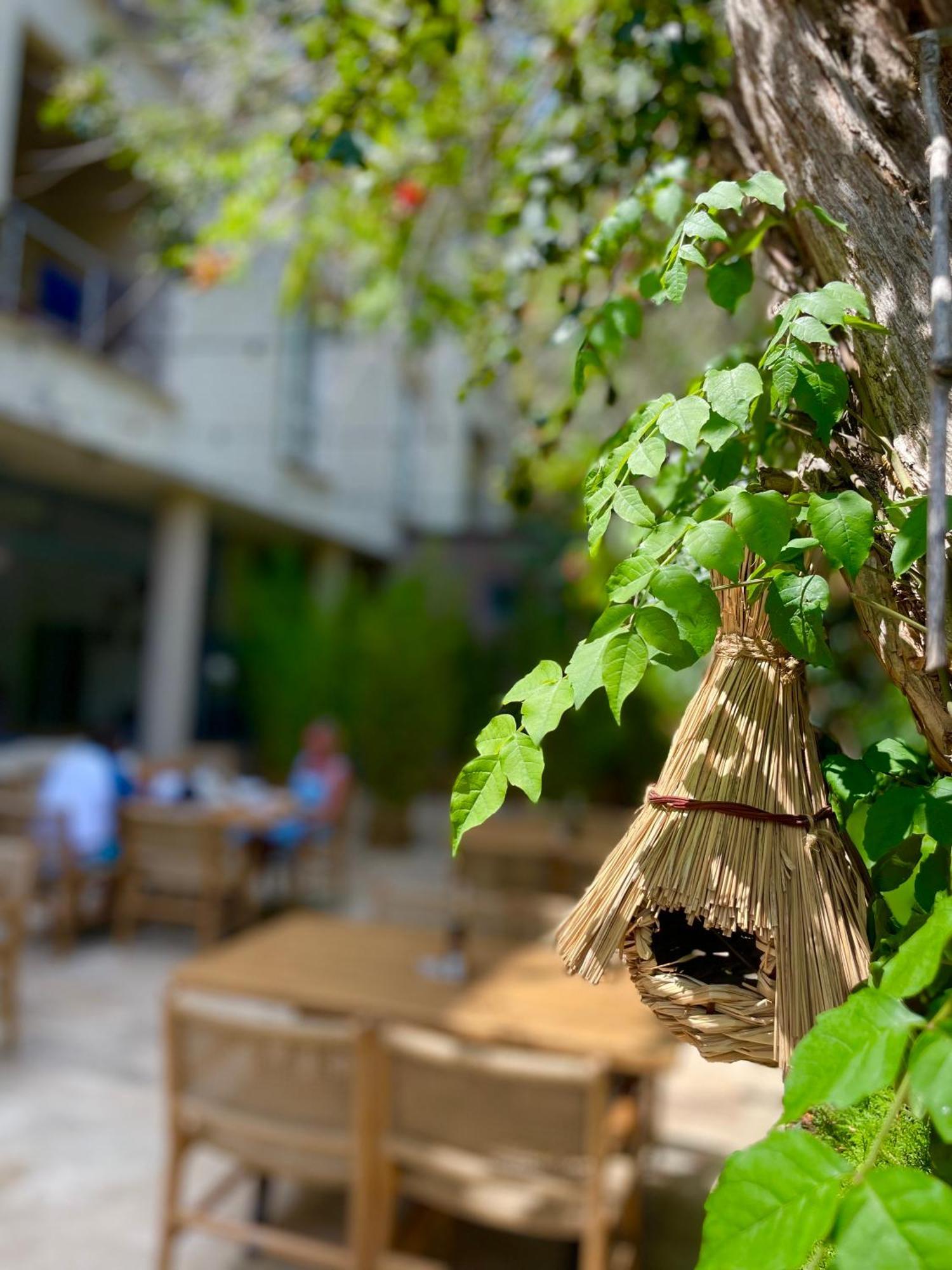 Hotel Carmen Eforie Nord Dış mekan fotoğraf